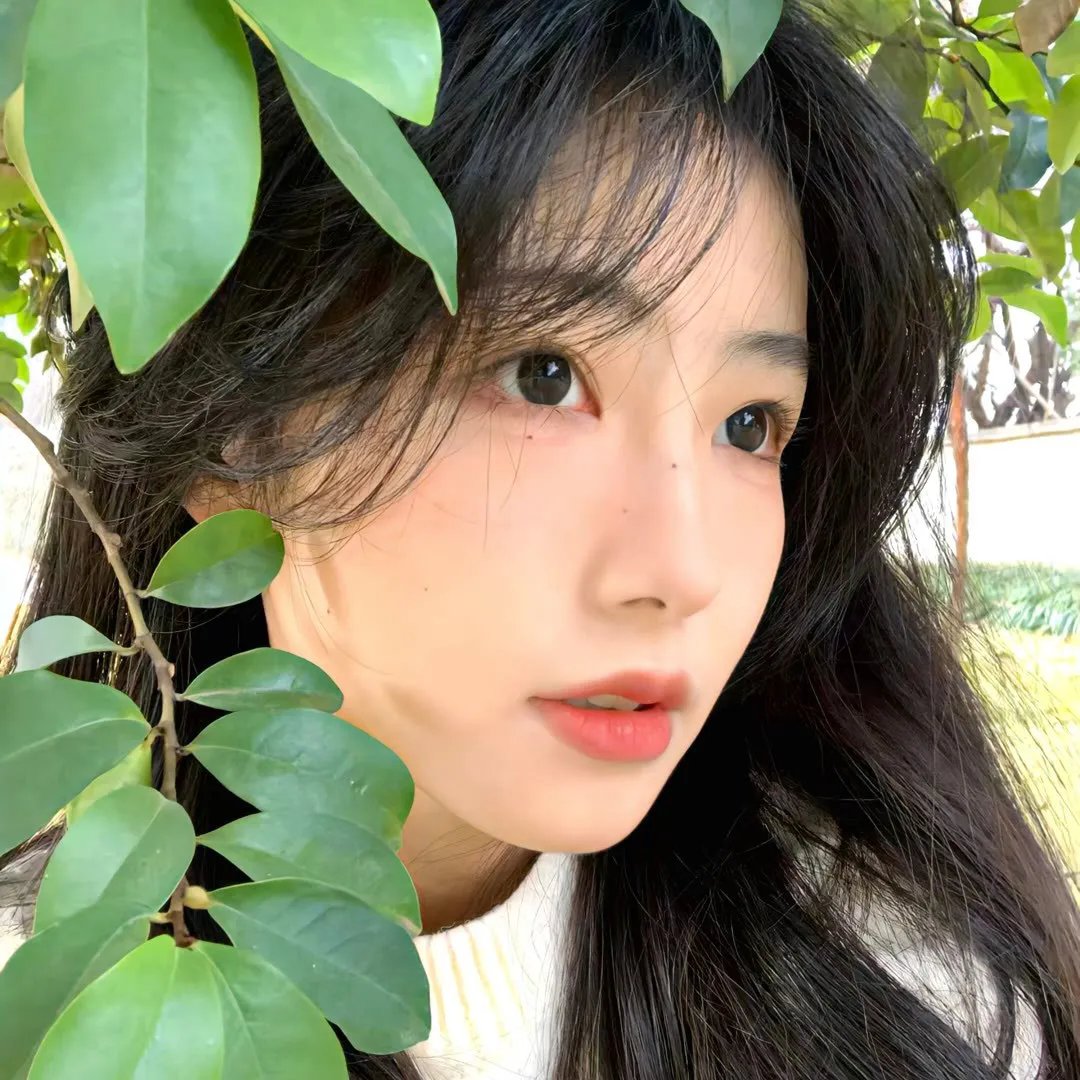 槲寄生农场的惊奇圣诞
